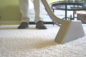 dry carpet cleaning in atlanta book