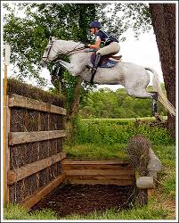 diy homemade brush jumps horse nation