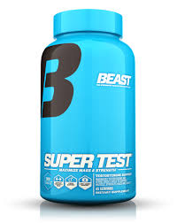 beast super test man s best friend in