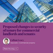 commercial landlords and tenants