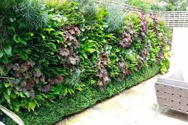 Living Wall Systems For Your Garden