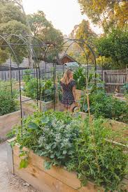 our dream permaculture vegetable garden