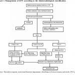 Bilateral Flow Chart Template Nationalphlebotomycollege
