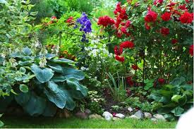 how to get rid of weeds in flower bed