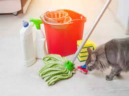 pet safe floor cleaner