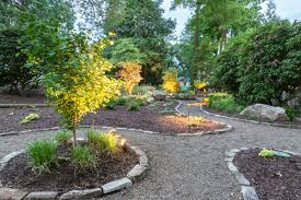 Woodland Garden With Natural Pathways