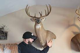 Timber Loc Big Game Wall Mounting System