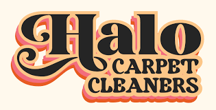 top 10 best carpet cleaning in taylor