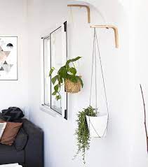 Wall Hook For Hanging Plants Wall Plant