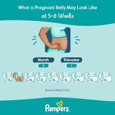 6 weeks pregnant symptoms and baby