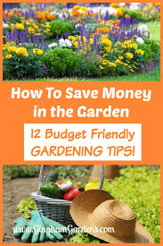 12 Budget Friendly Gardening Tips