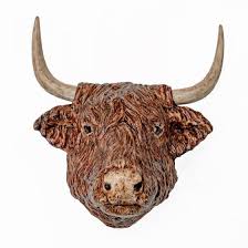 wall mounted highland cow head by