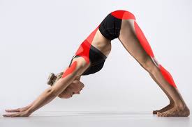 Image result for yoga poses
