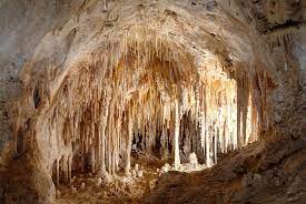 carlsbad caverns explore 119 caves