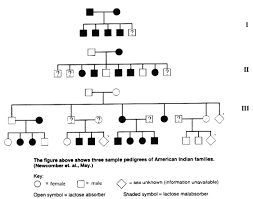 Pedigree Lactose Intolerance