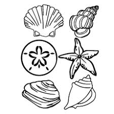 Make sure you share free printable seashell coloring pages with pinterest or other social media, if you. Top 25 Free Printable Shell Coloring Pages Online