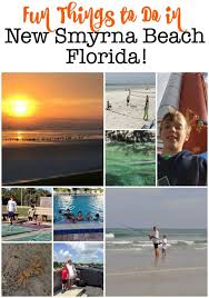 fun things to do in new smyrna beach a