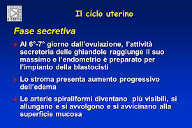 Ritardo e endometrio secretivo 11mm. Fisiologia Del Ciclo Mestruale Ppt Scaricare