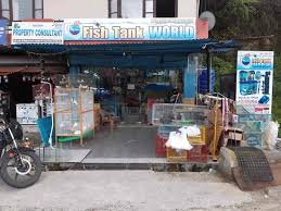 Our range of products for fish, birds, dogs, cats, reptiles, rabbits, other small animals, poultry, horses and other larger animals needs to be seen to be believed! Top 10 Pet Shops In Kangra Best Pet Store Suppliers Justdial