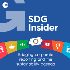 SDG Insider: Bridging corporate reporting and the sustainability agenda