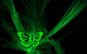 Green Lights Butterfly - 1920x1200 ...