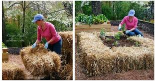 Wrap them in brown paper, this helps them store longer. Straw Bale Urban Gardening Ideas And Getting Started Right
