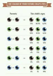 Parents And Kids Eyes Color Chart Eye Color Chart Baby
