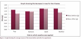 oral book report ideas high school the interesting narrative of     Another Formal Lab Report Format