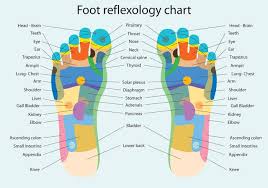 Foot Reflexology Chart Download Free Vectors Clipart