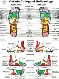 Foot And Ankle Reflexology Reflexology Foot Chart Foot