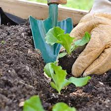 Cheltenham Gardening Department Webbs