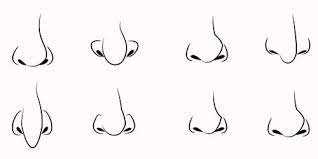 Breaking things down into sections will make drawing noses a breeze! Wanna Know How To Create Your Own Cartoon Character Check This Nose Drawing Create Your Own Cartoon Cartoon Noses