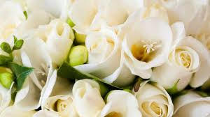 37 por white flowers for home