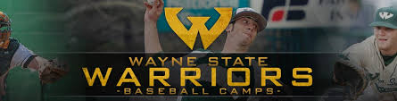 wayne state baseball camps