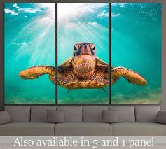 Green Sea Turtle Canvas Art Wall Decor