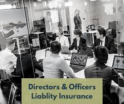 Directors & officers liability insurance can help secure a nonprofit's mission, as well as protect the personal assets of directors and board members. Directors And Officers Liability Insurance Oklahoma City Business Insurance Agency Pi Professional Insurors