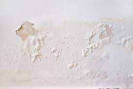 Emperor Paint Penetrating Damp The