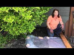 How To Sterilize Soil In The Garden