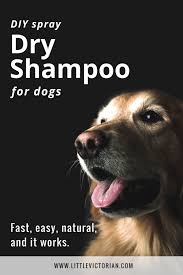 spray diy dry shoo for dogs all