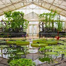 kew gardens review tips and visitor