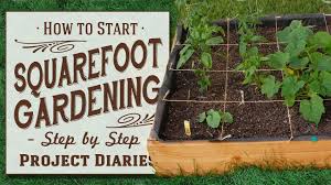 how to start square foot gardening