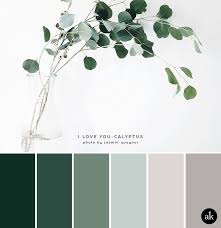 Color Palette Green Colour Palette