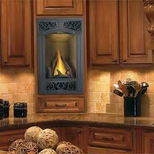 Direct Vent Gas Fireplace Napoleon