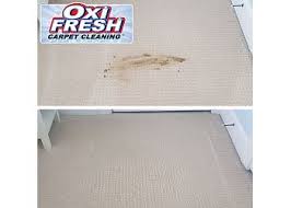 oxi fresh carpet cleaning lakewood in