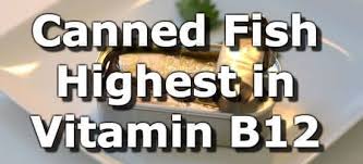 canned fish highest in vitamin b12