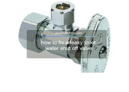 how to fix a leaky toilet water shut