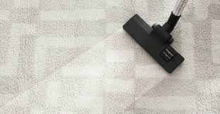 diy and professional carpet cleaning