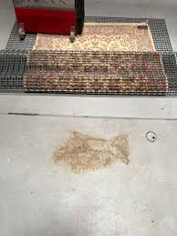 professional area rug cleaning in salt