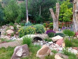 Lori S Garden In Colorado Revisited