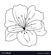 outline exotic flower with nature